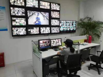 安全系统监控服务 构建主动防御的数字基石